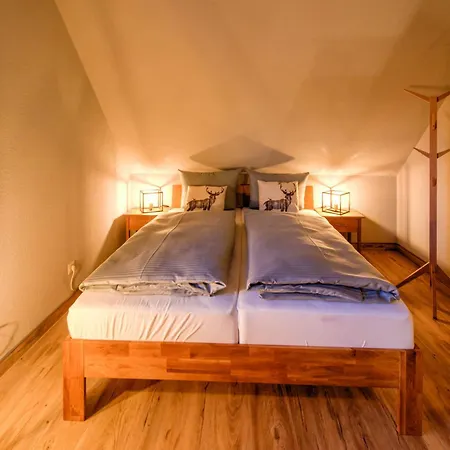 Auszeit-im-harz Haus 5 31 Apartamento