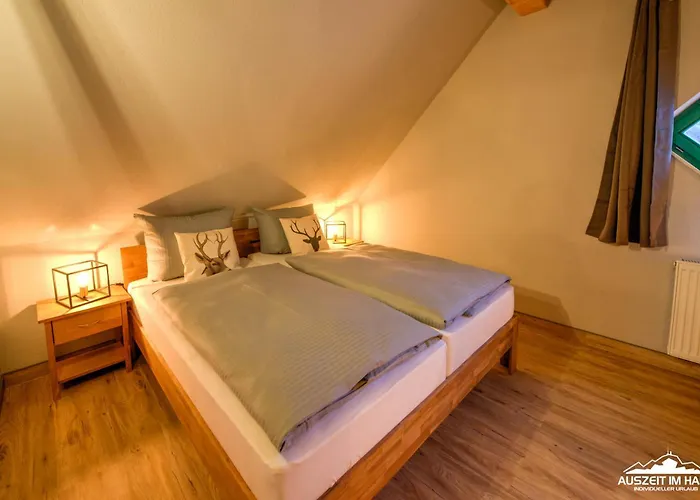 아파트 Auszeit-im-harz Haus 5 31